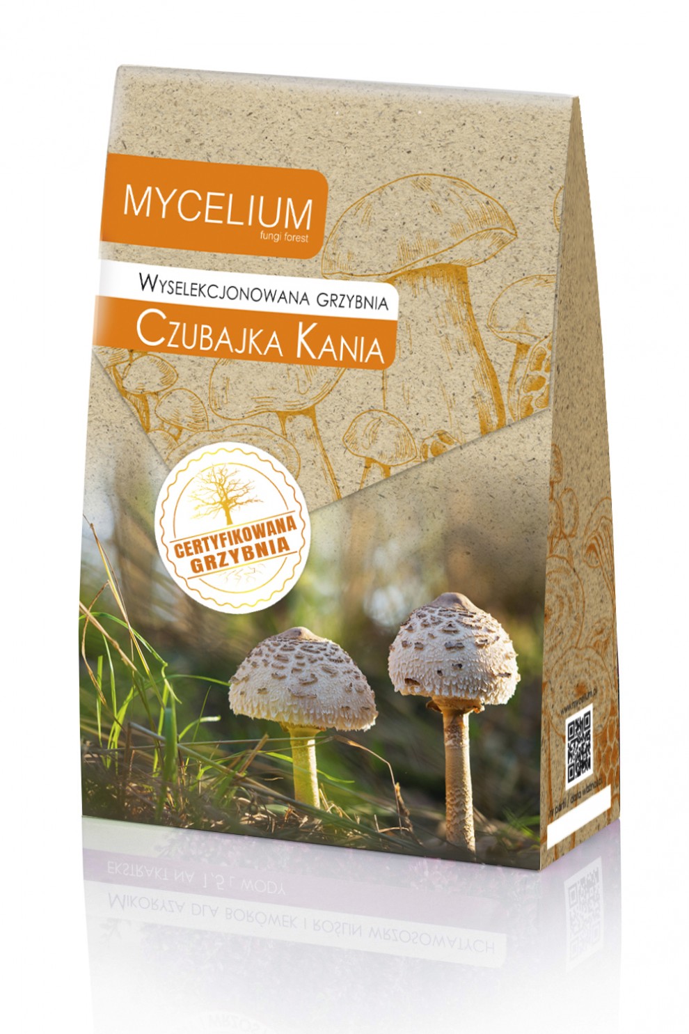 Wyselekcjonowana grzybnia CZUBAJKA KANIA